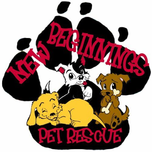 Pets for Adoption at New Beginnings Pet Rescue, in South ...