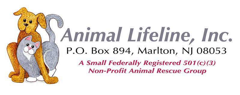 Pets for Adoption at Animal Lifeline Inc. in Marlton NJ Petfinder