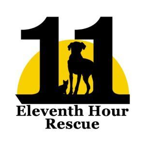 Eleventh Hour Rescue