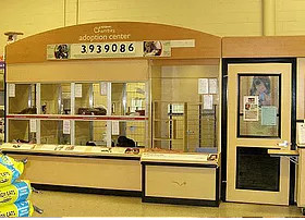 Our adoption center at the Holmdel Petsmart