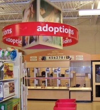 Join us for our weekly Saturday Adoption Event.
