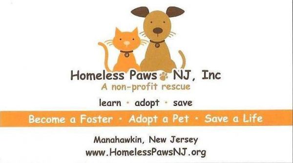 Homeless Paws