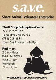 S.A.V.E. Shore Animal Volunteer Enterprise