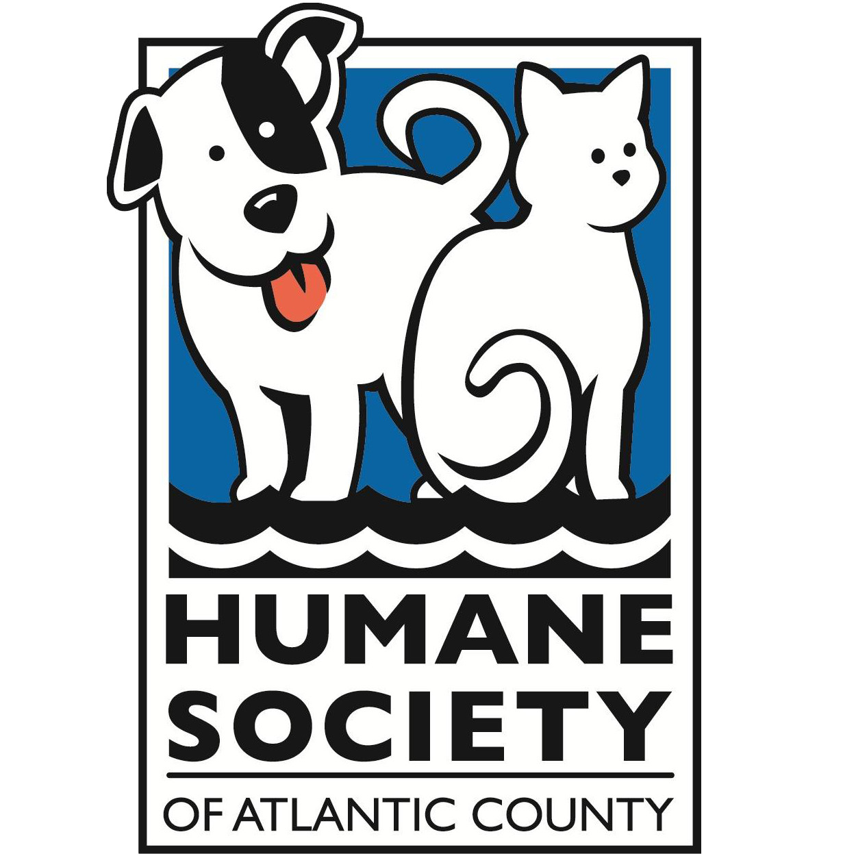 Pets for Adoption at The Humane Society of Atlantic County, in Atlantic ...