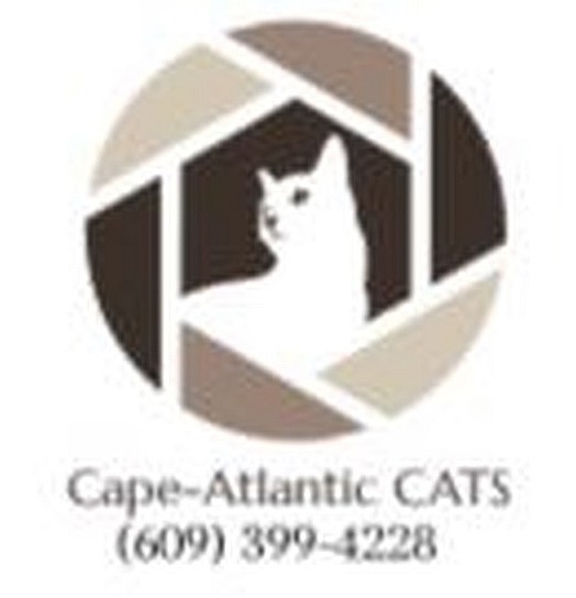 Cape-Atlantic C.A.T.S.