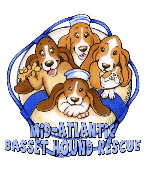 Mid-Atlantic Basset Hound Rescue