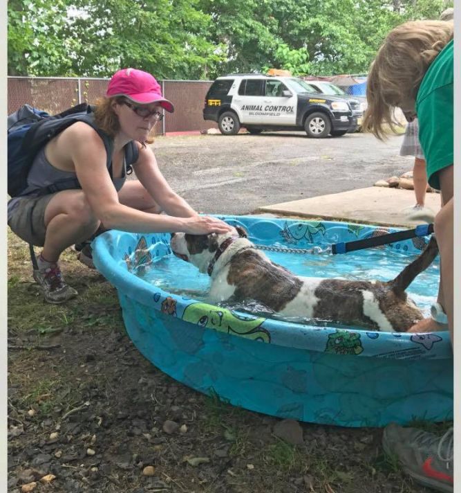 Bloomfield Animal Shelter  - John A. Bukowski Shelter for Animals