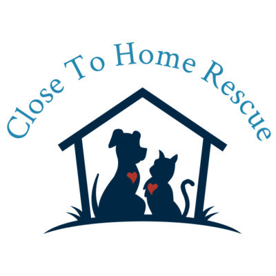 Pets for Adoption at Close to Home Rescue, in Pompton Lakes, NJ | Petfinder