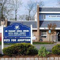 Mt. Pleasant Animal Shelter