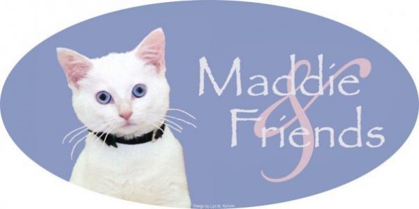 Maddie & Friends Inc