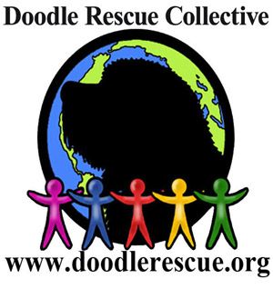 Doodle Rescue Collective Inc.