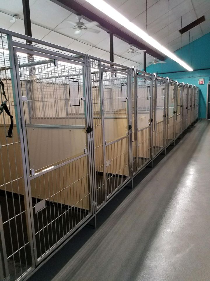 Our brand new beautiful dog kennels!