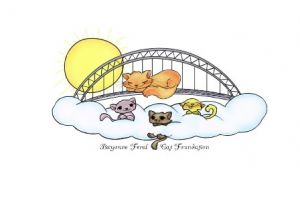 Bayonne Feral Cat Foundation