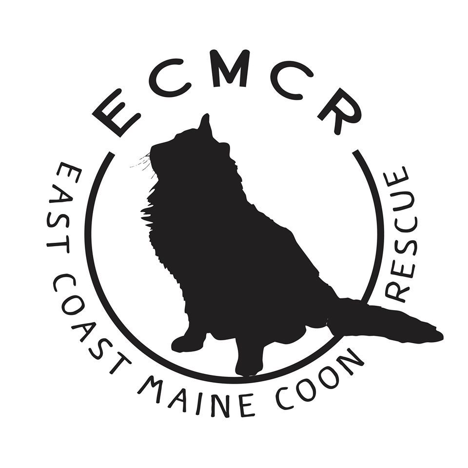 East Coast Maine Coon Rescue
