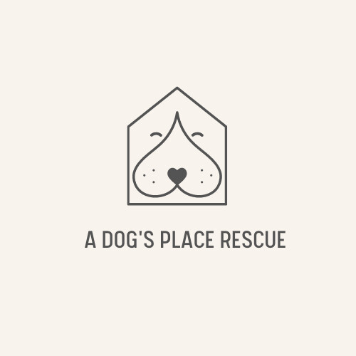 A dog's cheap place rescue