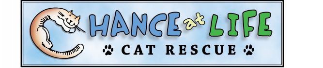 Chance at Life Cat Rescue