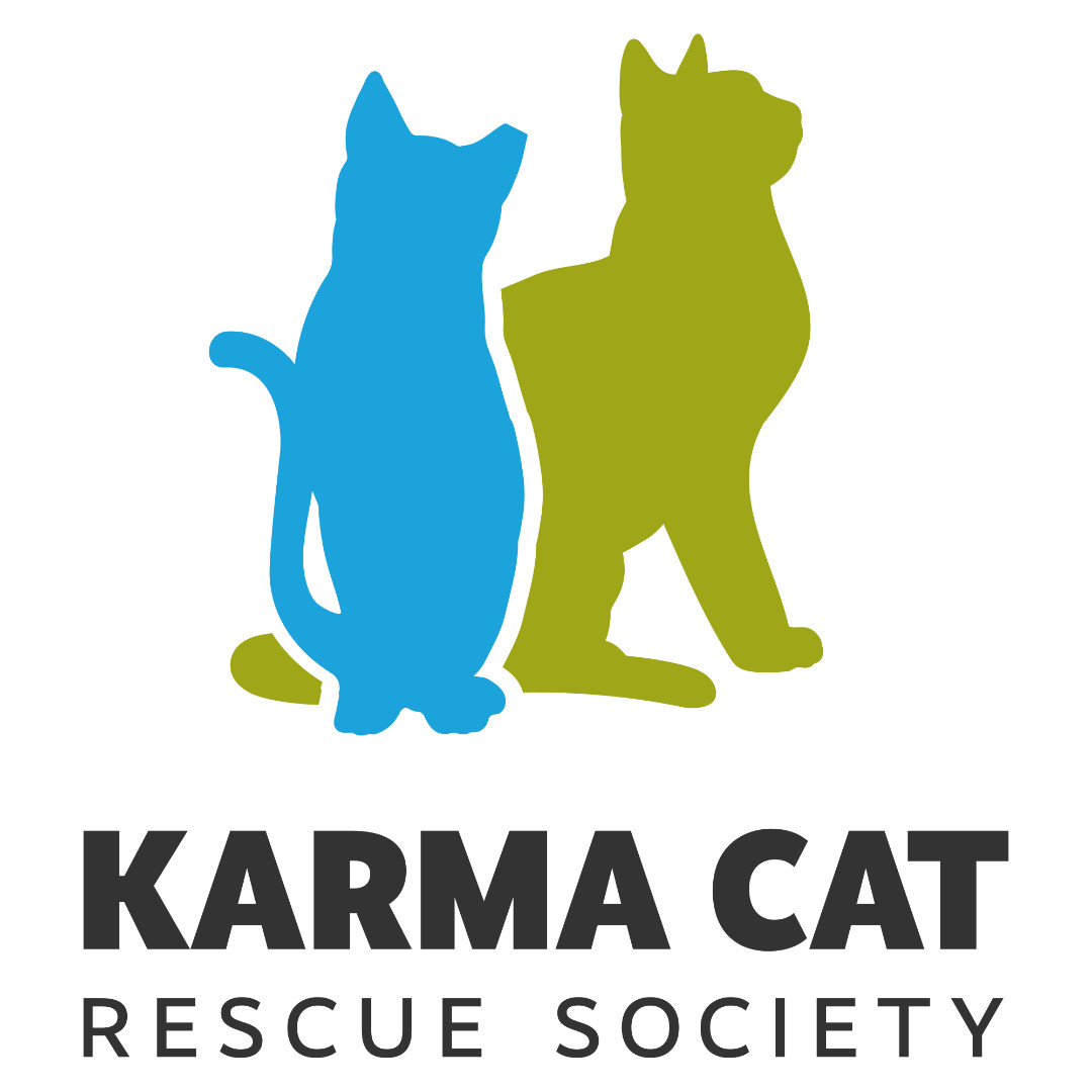 Adoption info — Cat Welfare Association