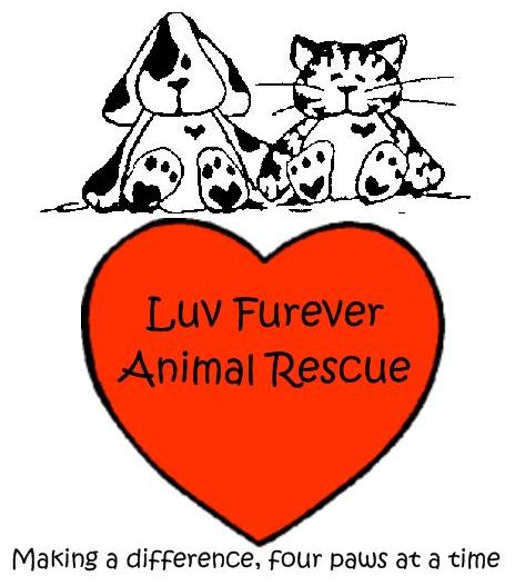 Luv Furever Animal Rescue - Eatontown