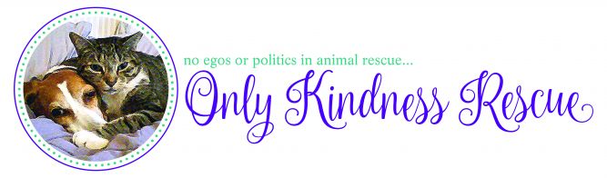 Only Kindness, Inc.