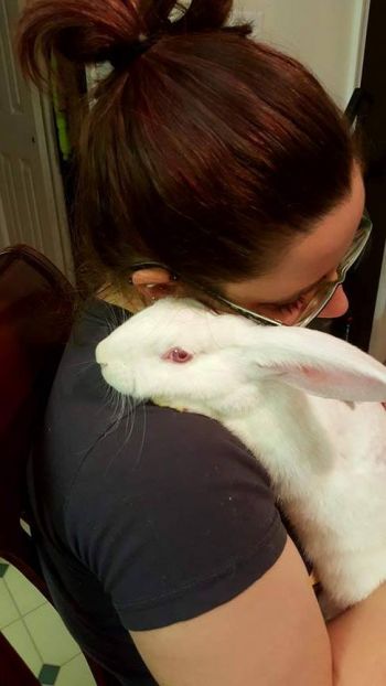 Ophelia, the gorgeous lab bunny.