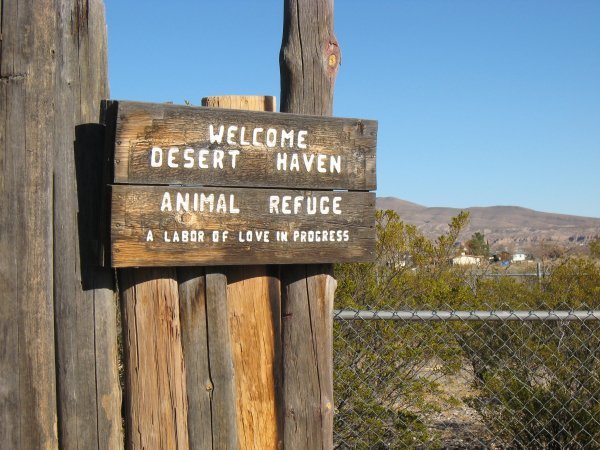 Desert Haven Animal Refuge