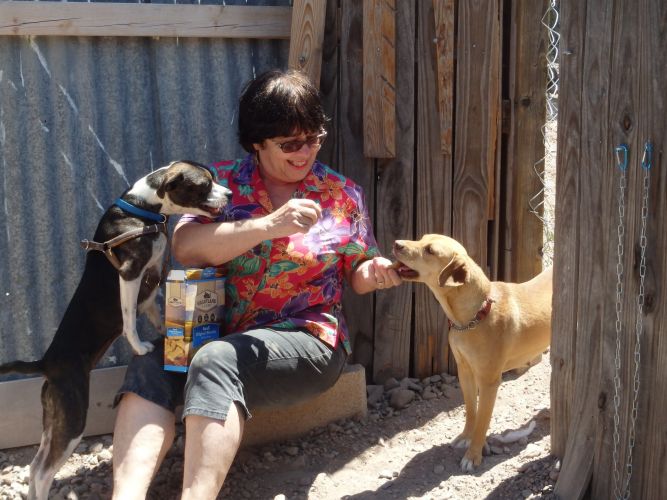 Desert Haven Animal Rescue