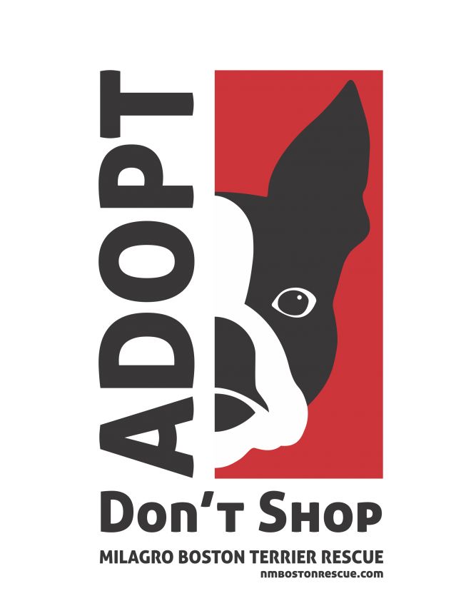 New Mexico Boston Terrier Rescue