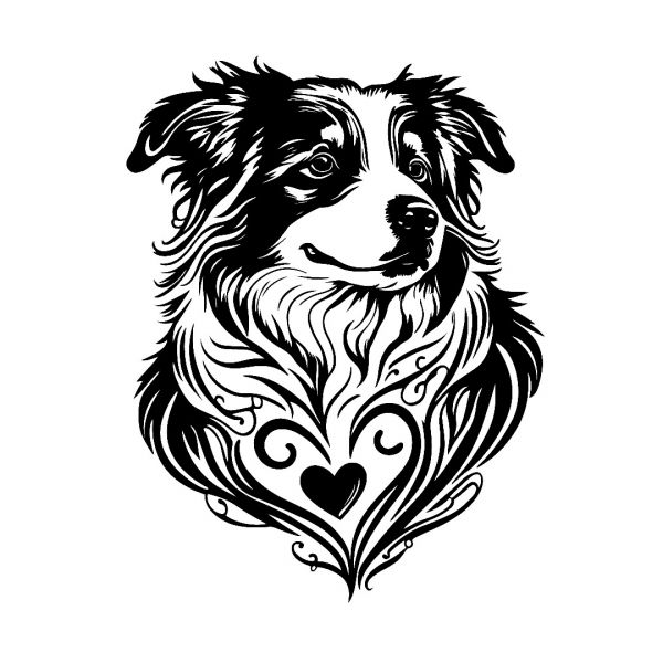 Zia Australian Shepherd Rescue