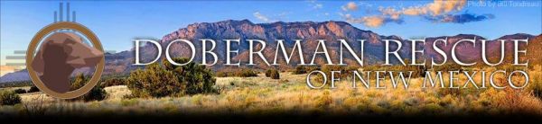 Doberman Rescue of New Mexico