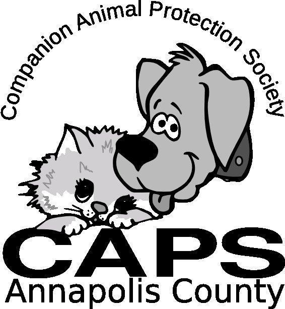 animal protection society