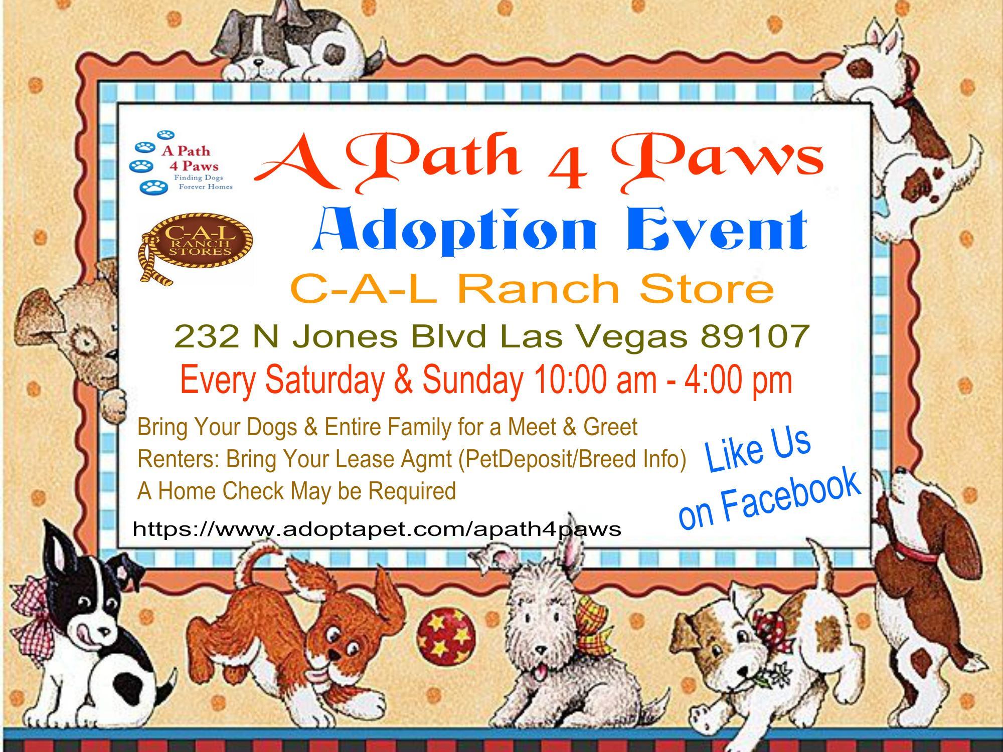 Pets For Adoption At A Path 4 Paws Dog Rescue In Las Vegas Nv Petfinder