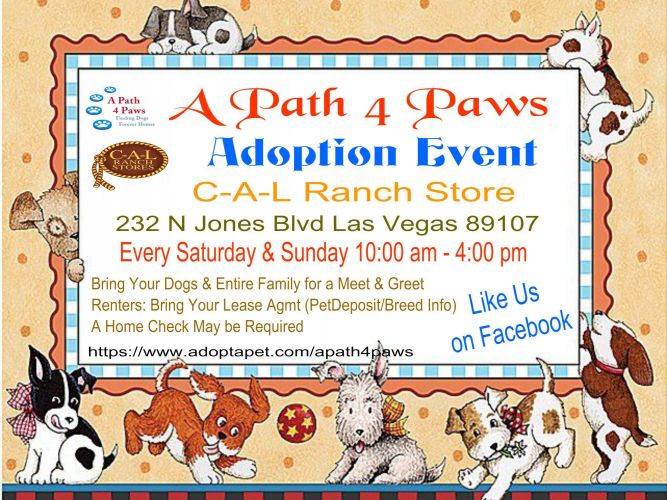 A Path 4 Paws Dog Rescue