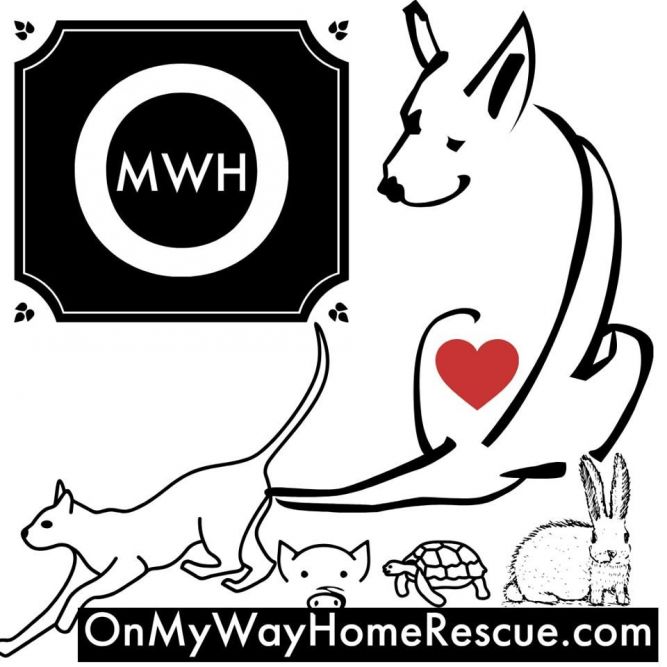 On My Way Home Rescue