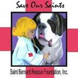 Sin City Saint Rescue