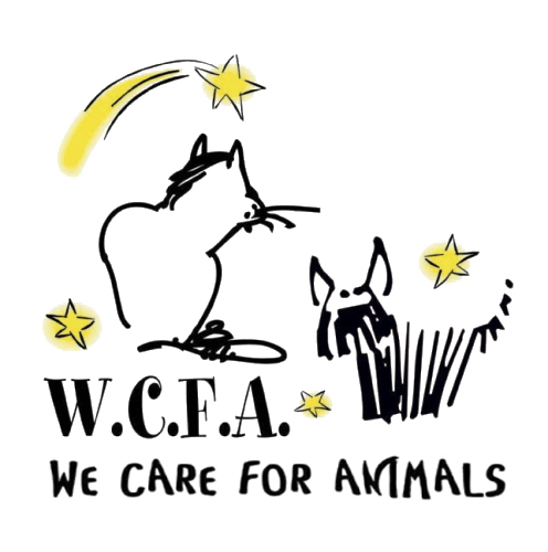 We Care for Animals