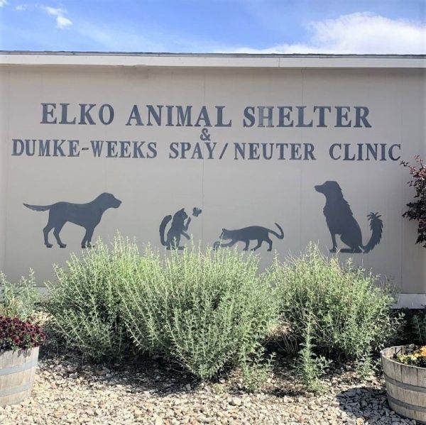 City of Elko Animal Shelter