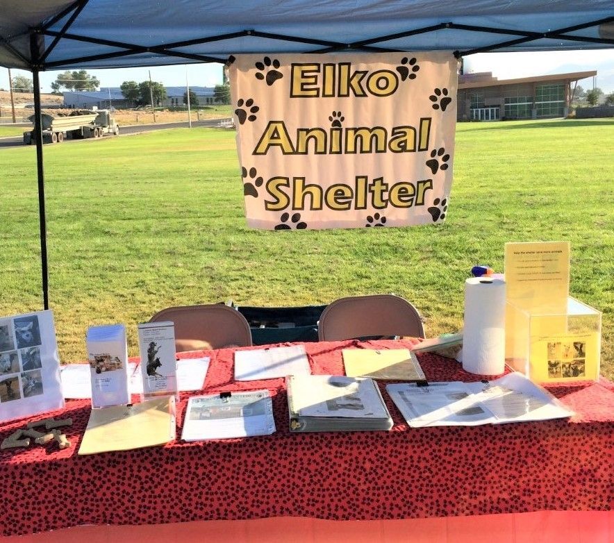 Pets for Adoption at City of Elko Animal Shelter, in Elko, NV Petfinder