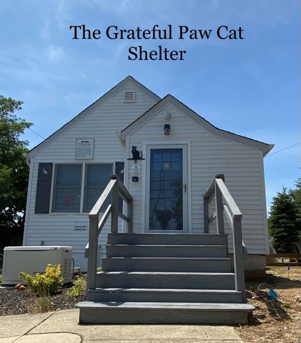 Grateful Paw Cat Shelter, LAPH