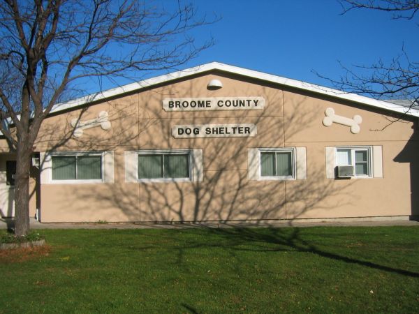 Broome County Dog Shelter