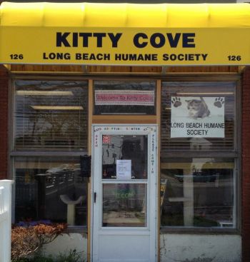 Long Beach Humane Society/Kitty Cove