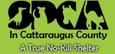 SPCA in Cattaraugus County
