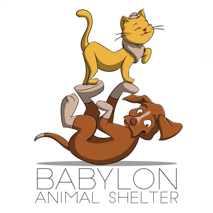 Babylon hot sale animal shelter