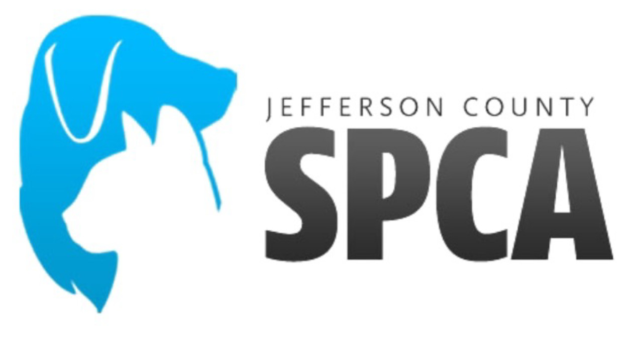 Jefferson county 2024 dog shelter