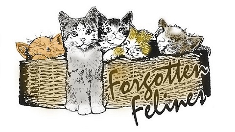 Forgotten Felines, Inc.