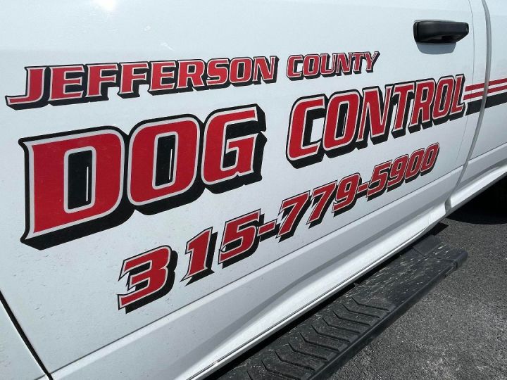 Jefferson county dog hot sale pound