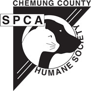 Chemung County Humane Society and SPCA