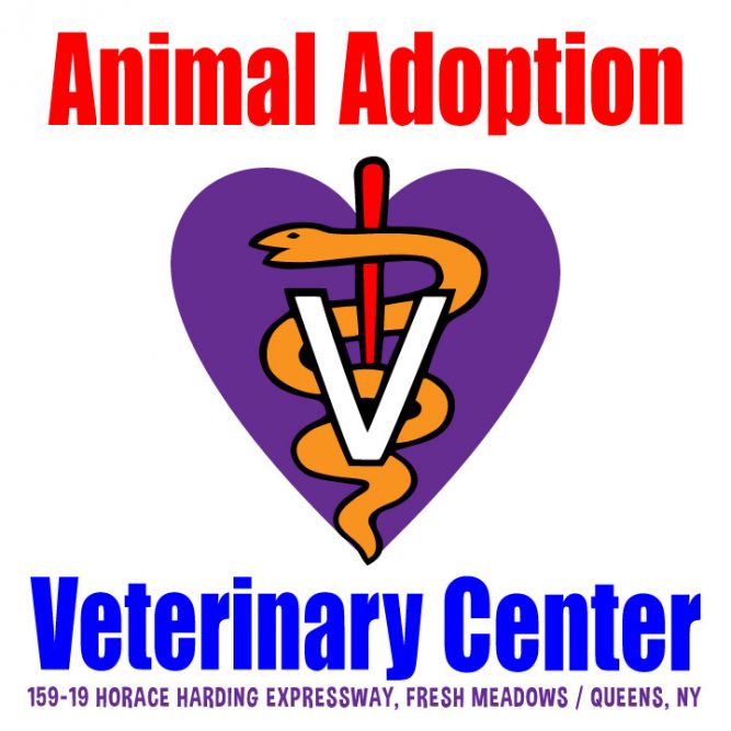 Animal Adoption Veterinary Center