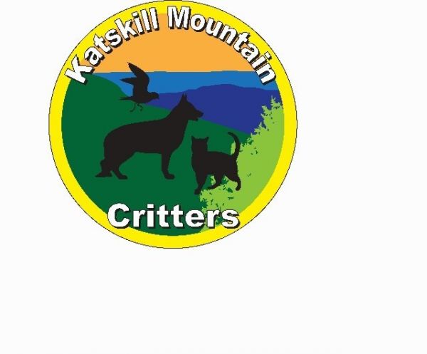 Katskill Mountain Critters