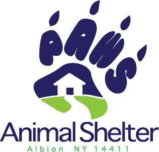Pets for Adoption at People for Animal Welfare Society/Paws, in Albion ...