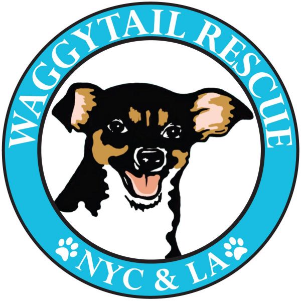Waggytail Rescue